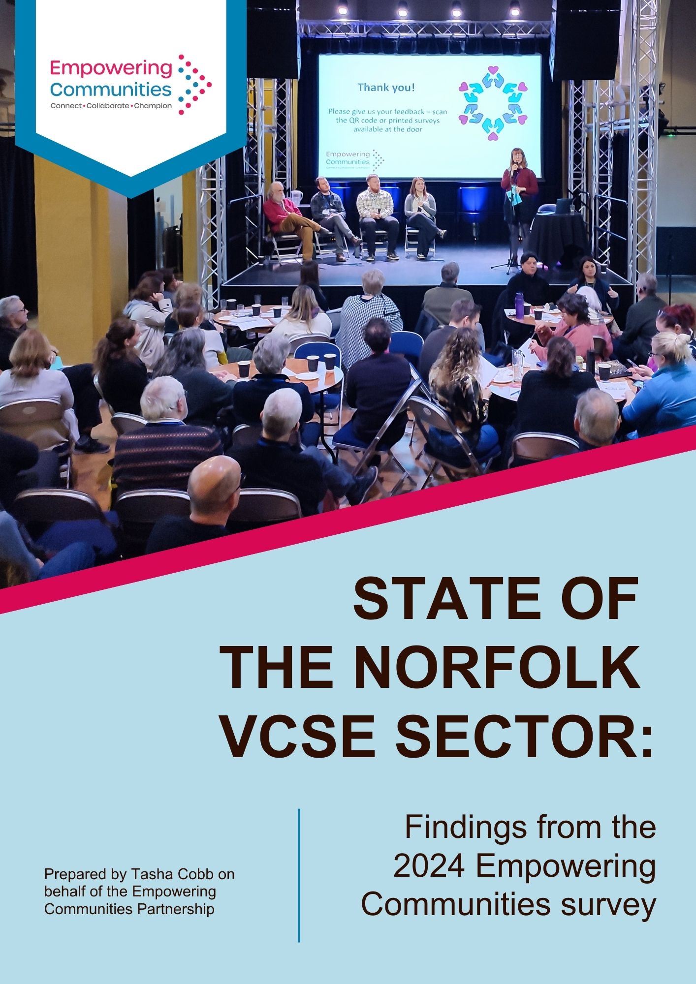 New report reveals state of the VCSE sector in Norfolk